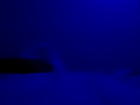 Snapshot of Blkstylion chatting on 27, 11, 2025 Blkstylion online show from 27, 11, 2025