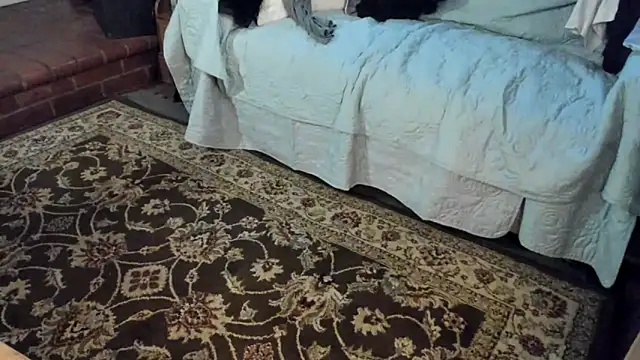 Dark Asteroid online show from 21, 12, 2025