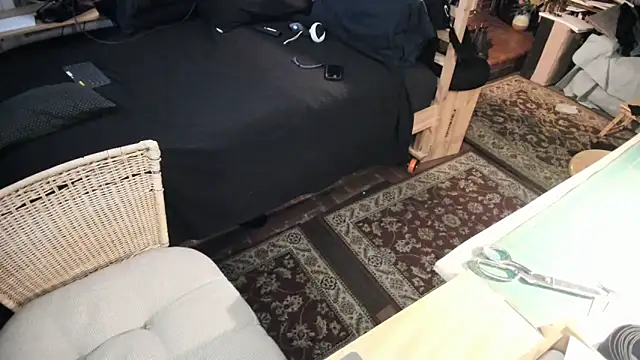 Dark Asteroid online show from 28, 2, 2026