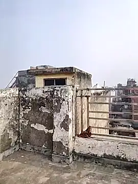  Redwine  online show from 19, 12, 2025