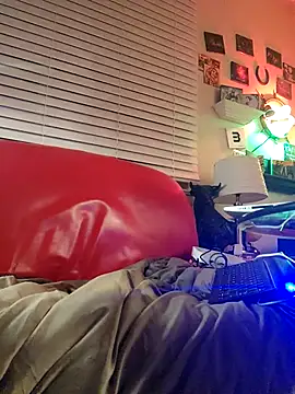 kochanekczek online show from 19, 2, 2026