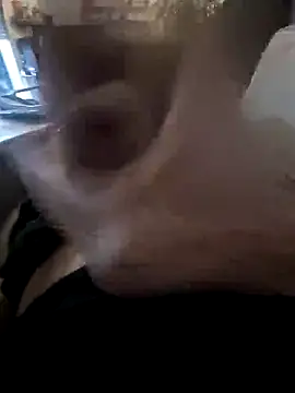 MarkBigDick35 online show from 17, 1, 2026