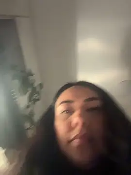 PetitLumiere online show from 3, 2, 2026