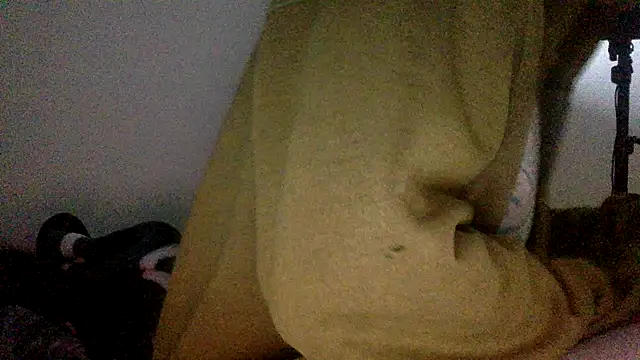 molozeb online show from 8, 11, 2025