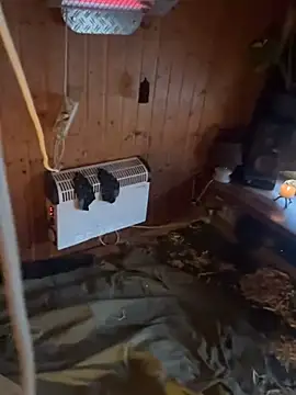 SexToyOnely online show from 6, 2, 2026