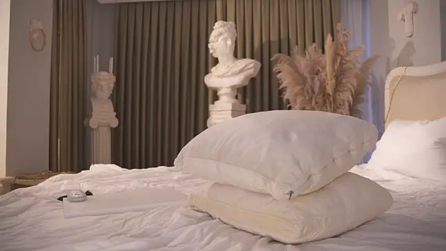 tommyjoyer online show from 1, 11, 2025