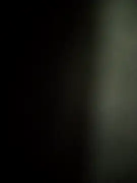 FantasticWonders9 online show from 1, 4, 2026