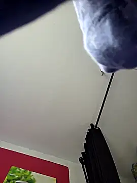 dieGeile0411 online show from 25, 10, 2025