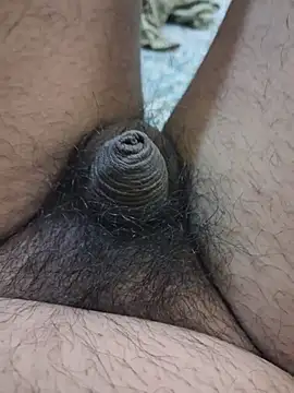 dirtybearr online show from 5, 2, 2026