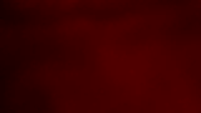 ray and 666 online show from 21, 11, 2025