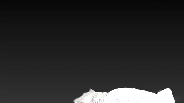 juanpalmox online show from 25, 11, 2025