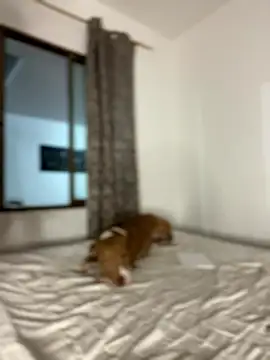 CurlyGirl 1 online show from 18, 1, 2026