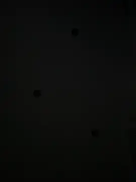 Maxthekid online show from 21, 1, 2025