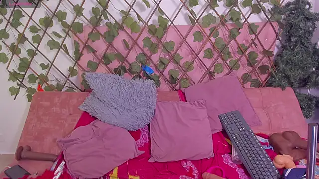 kimmysantoo online show from 1, 3, 2026