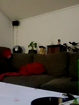 Snapshot of eltoulou chatting on 12, 3, 2025 eltoulou online show from 12, 3, 2025