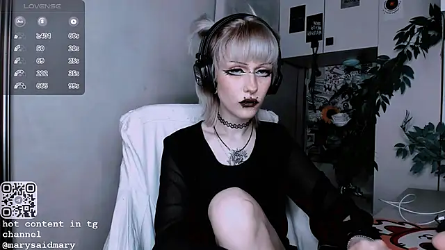 Snapshot of say_mary chatting on 6, 10, 2025 say mary online show from 6, 10, 2025