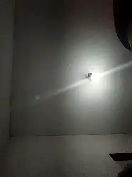 fieltoprj1 online show from 19, 1, 2025