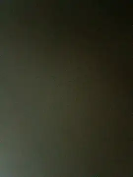 fieltoprj1 online show from 27, 2, 2026