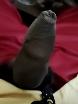 Ashish02345 online show from 6, 12, 2024