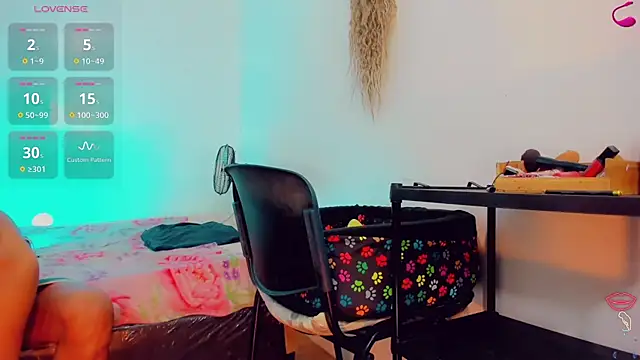 Amanda Cax online show from 7, 7, 2026