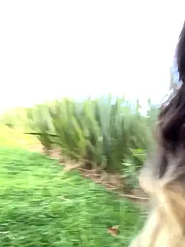 Enyeld ruru online show from 14, 3, 2026