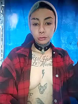 Snapshot of real_fenix chatting on 14, 12, 2025 real fenix online show from 14, 12, 2025