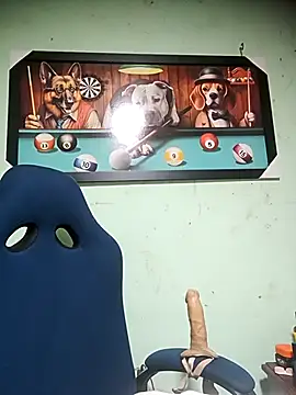 real fenix online show from 25, 10, 2025