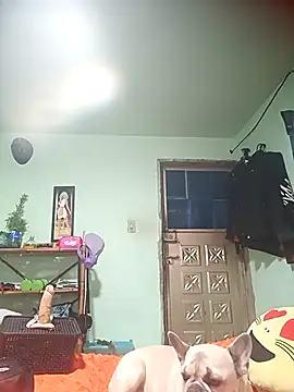 real fenix online show from 13, 9, 2025