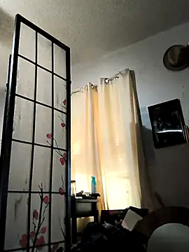 Snapshot of TexaSMESS_37 chatting on 3, 11, 2025 TexaSMESS 37 online show from 3, 11, 2025