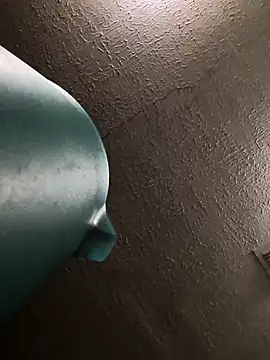 Snapshot of TexaSMESS_37 chatting on 11, 11, 2025 TexaSMESS 37 online show from 11, 11, 2025