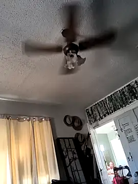 TexaSMESS 37 online show from 27, 2, 2026