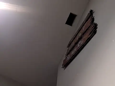 Dogz n daugthers online show from 3, 12, 2024