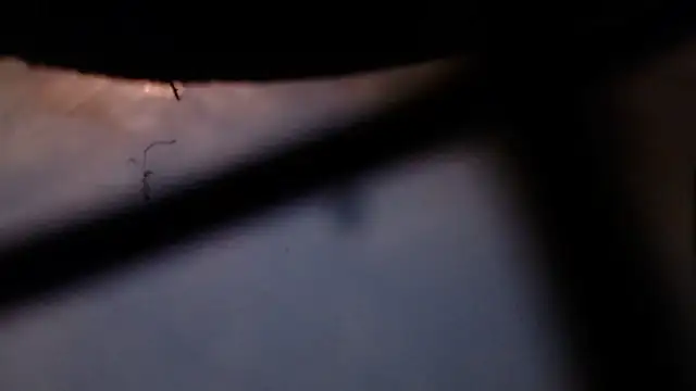 Cordt30 online show from 12, 2, 2026