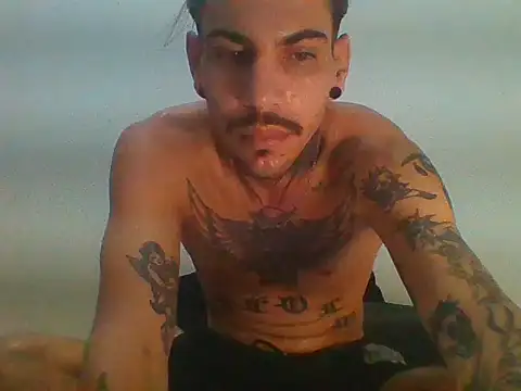 PitbullDiablo1 online show from 2, 5, 2026