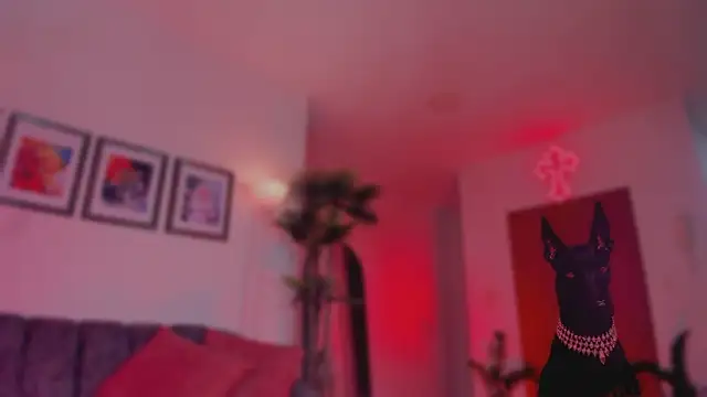 Taylor  foxxx online show from 10, 3, 2026