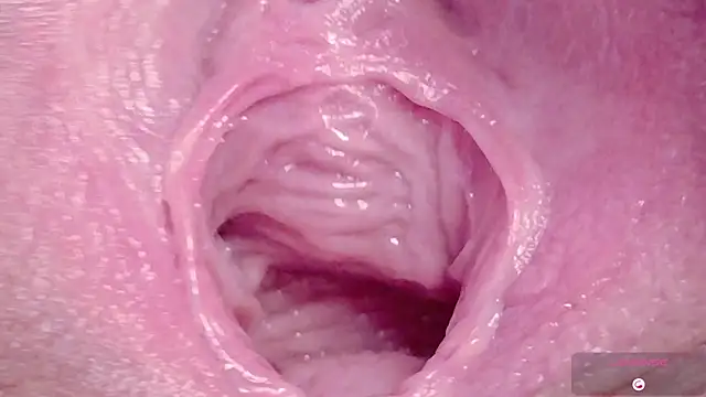 Alu ryu online show from 6, 3, 2026