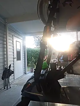 Dixiefaye Pika online show from 6, 1, 2026