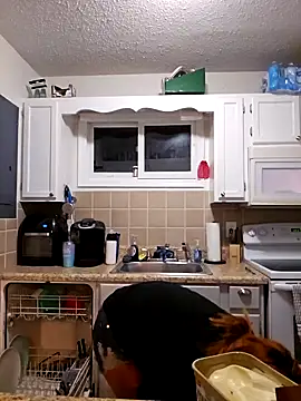 Snapshot of Dixiefaye_Pika chatting on 27, 2, 2025 Dixiefaye Pika online show from 27, 2, 2025