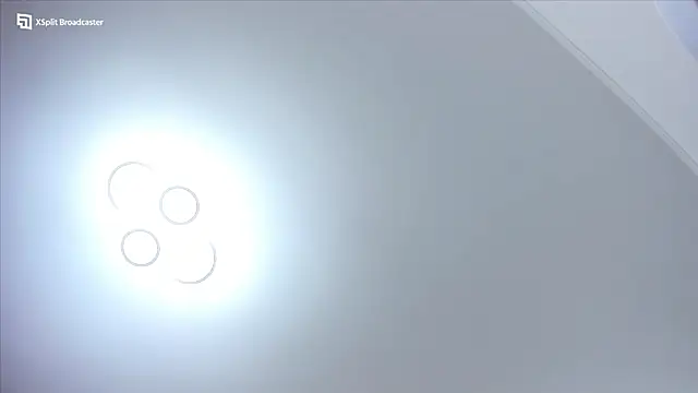 fireflowers  online show from 23, 10, 2025