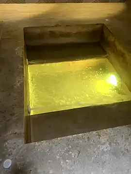  Miguel100 online show from 9, 11, 2025