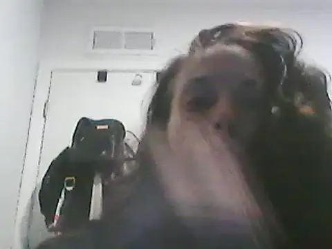 Snapshot of gorgeous11 chatting on 10, 3, 2025 gorgeous11 online show from 10, 3, 2025