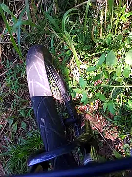 Adee21e online show from 21, 11, 2025