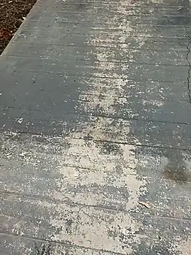 mr slim body online show from 12, 1, 2026