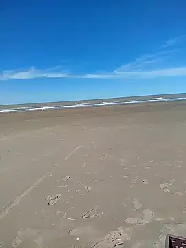 Zorrita Fox online show from 7, 10, 2025