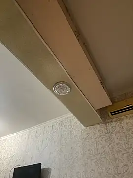 MissDasha online show from 3, 3, 2026