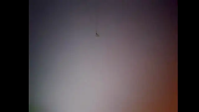 Pegg-fist-me online show from 28, 11, 2025