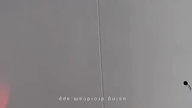 Pegg-fist-me online show from 10, 3, 2026