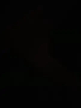 egyptman220 online show from 8, 3, 2026