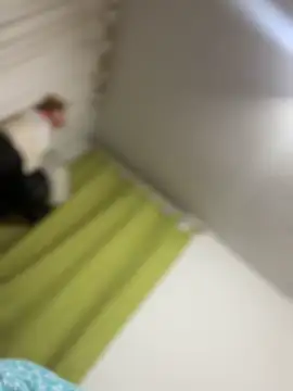 Mila Morgan online show from 31, 3, 2026