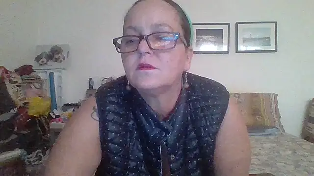 brasiliana49 online show from 17, 5, 2026